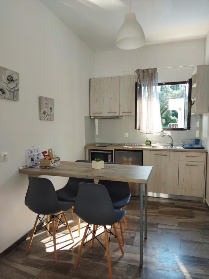 Spiridoula 1 Studios & Apartments 斯达林 外观 照片